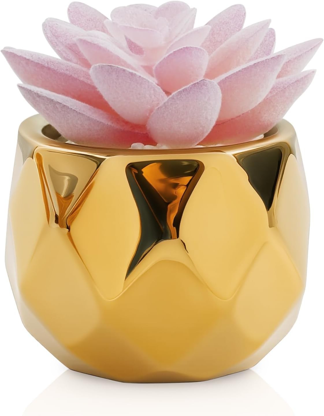 Elegant Mini Succulent Plants in Pink & Gold Ceramic – Perfect for Indoor Decor