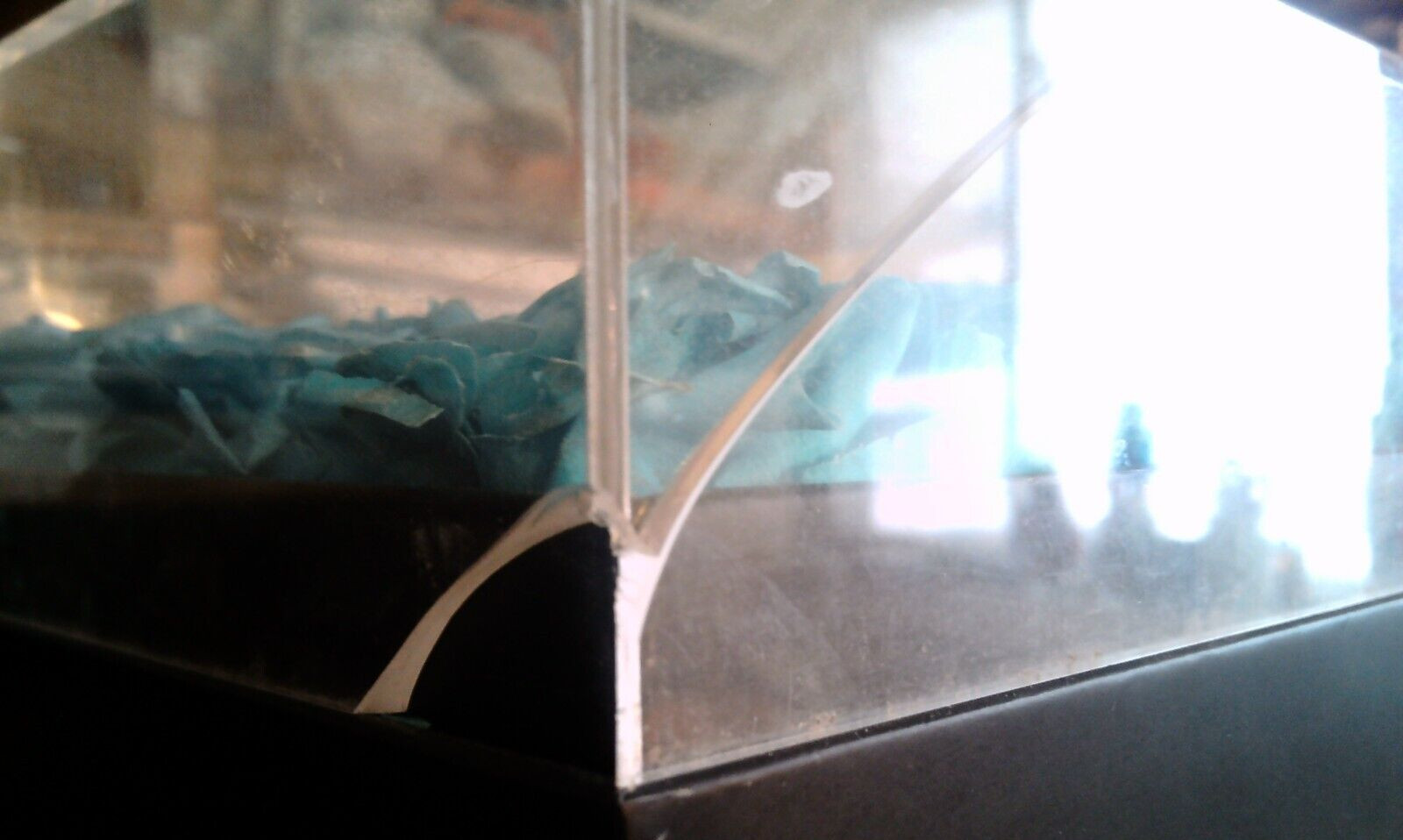 16 aqua preserved roses in (approx.) 6.5 x 6.75 x 7.5 inch black box PLEASE READ