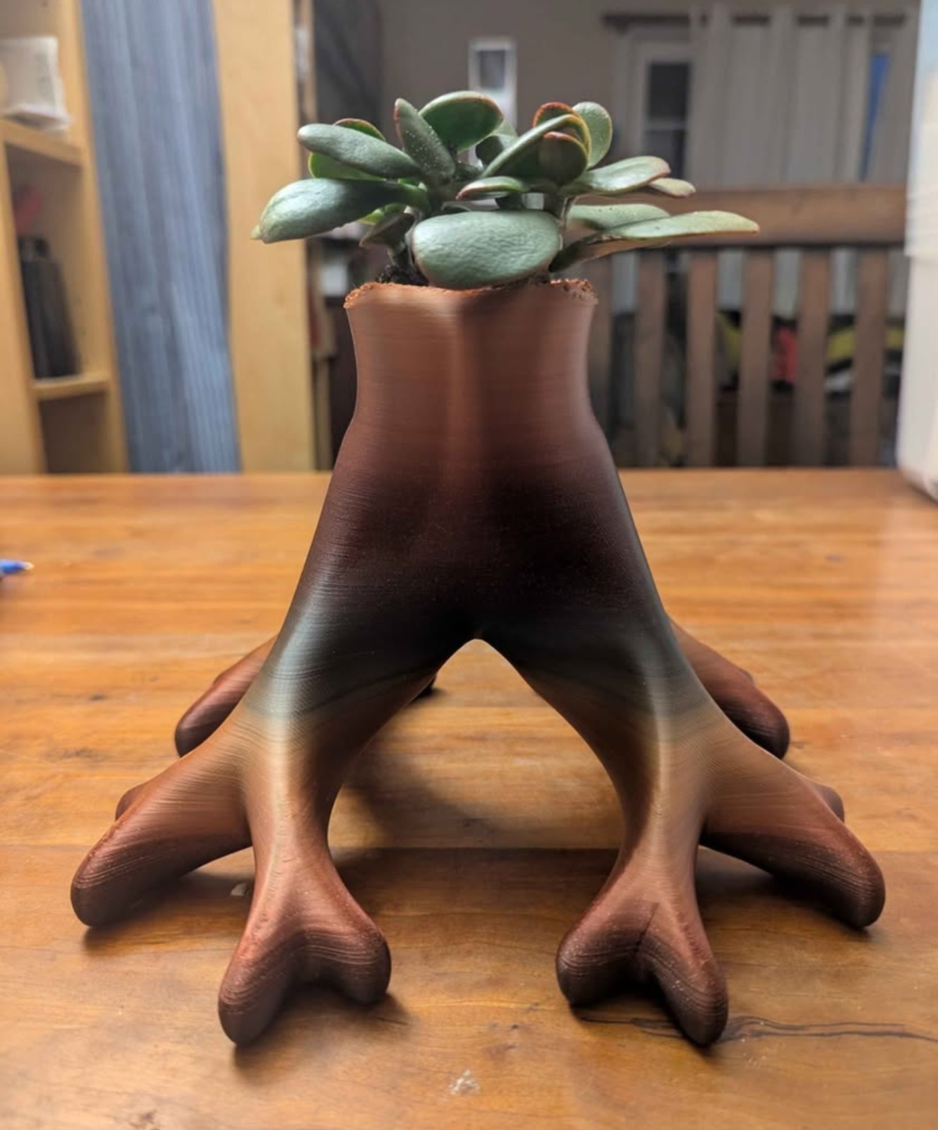 Tree root like Succulent Planter for indoor decor. unique!