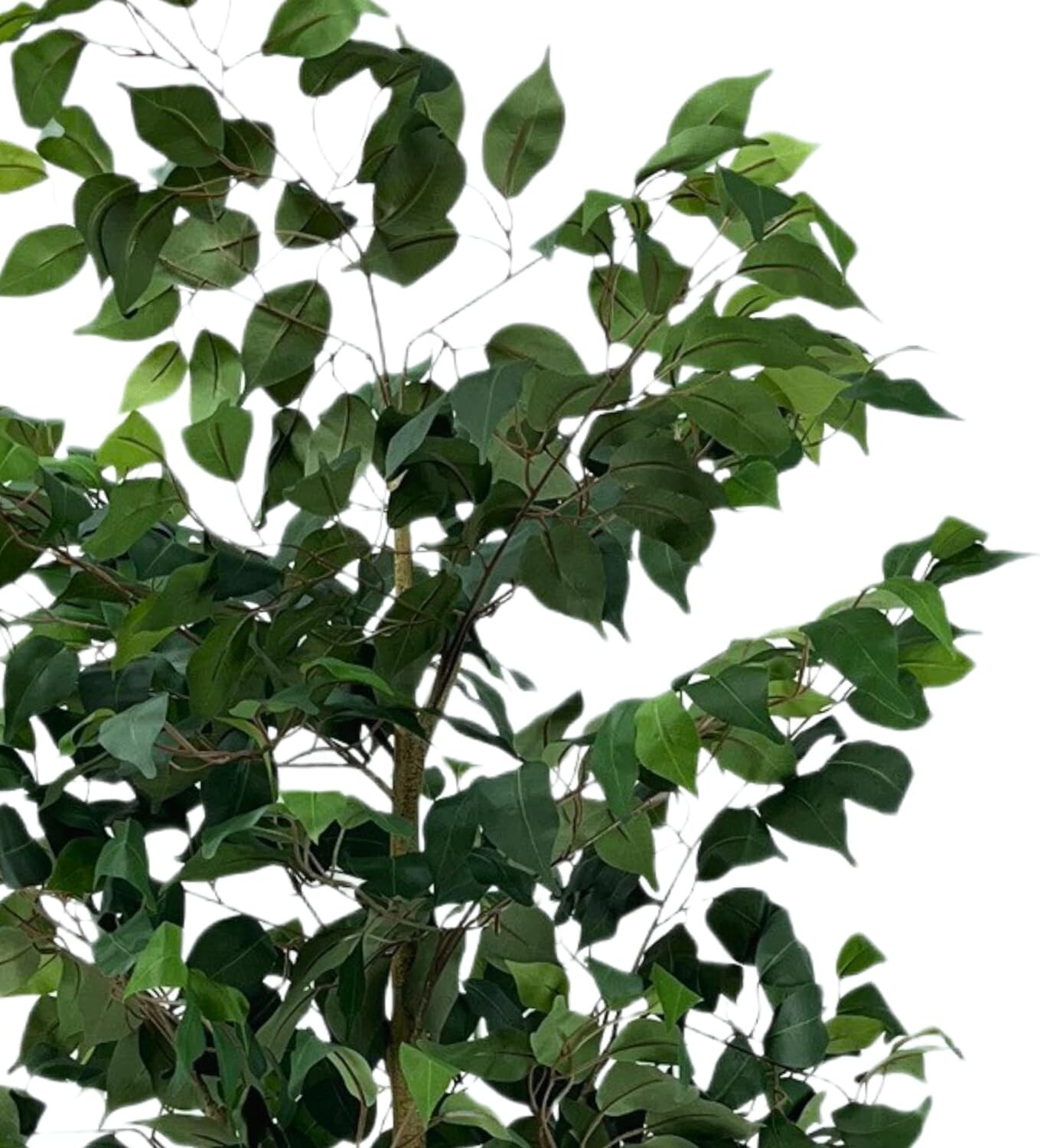 Moss & Bloom 6ft Artificial Ficus Tree in Planter Natural Look Low Maintenace