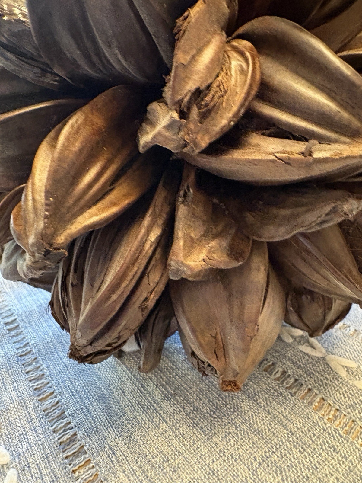 Vietnamese Water Coconut Nipa Palm Fruit Cluster Seed Pod Nypa Fruticans