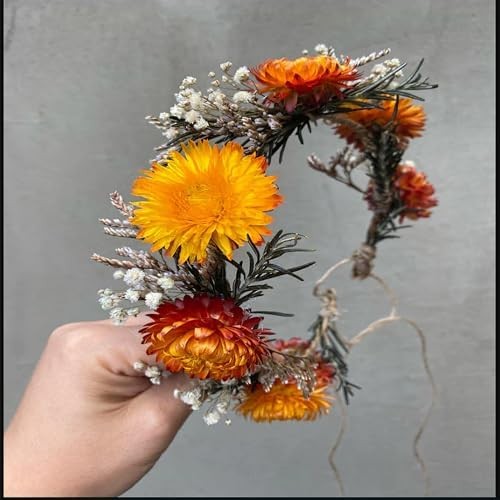 60 Pcs Natural Dried Daisy Flowers Heads Bulk Gerbera Daisies Multicolor Real Su
