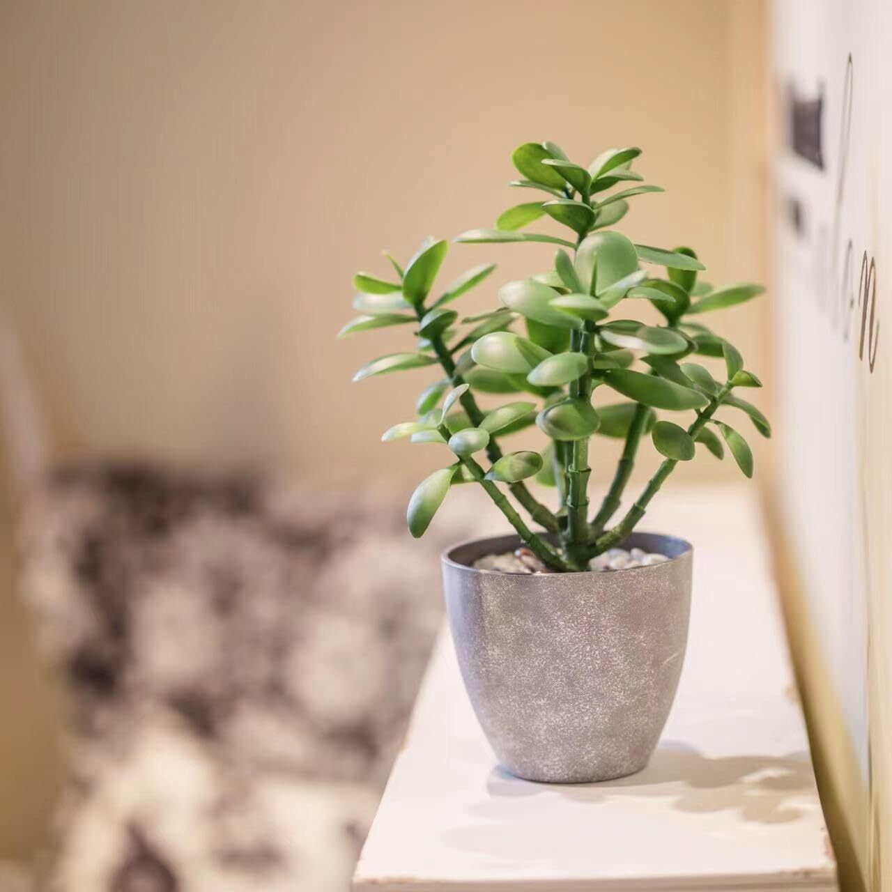 Artificial Potted Jade Plant 12 inch Luxury Faux Succulent Money Tree