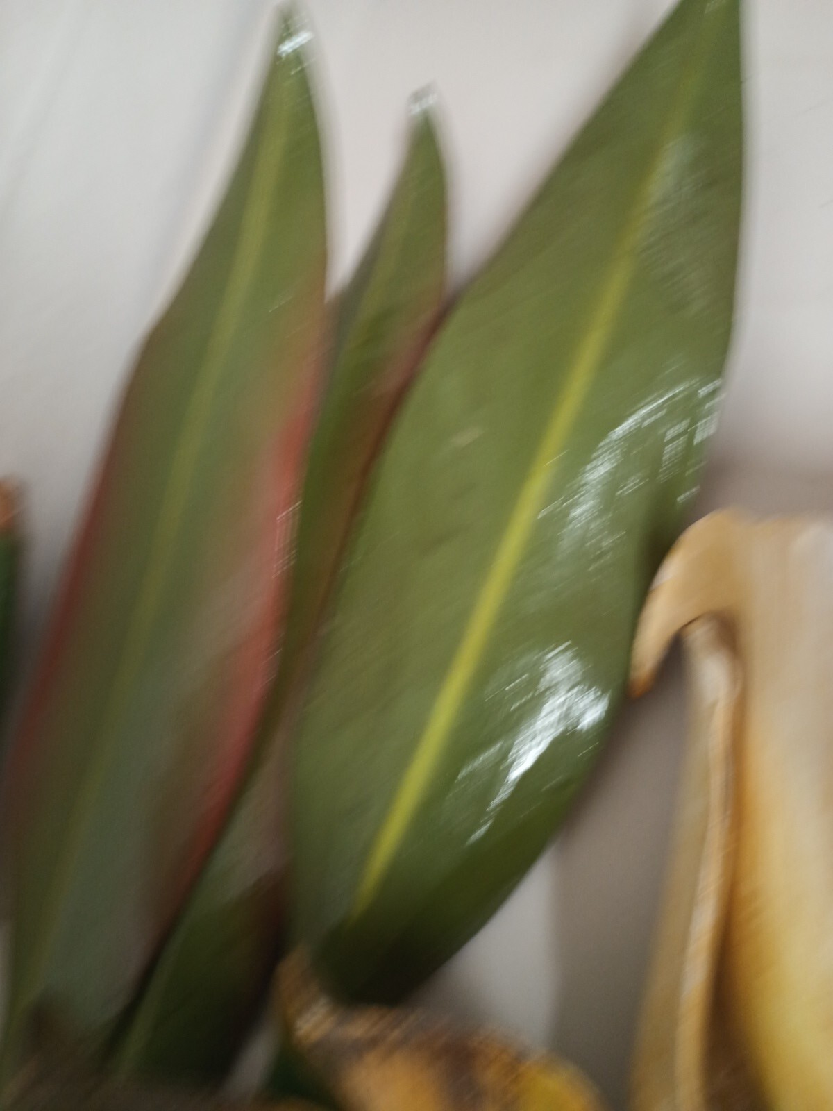 VTG Wood Tropical Flowers Long Stem 36″ Leaves Lot Of 13 Wooden Painted Carved
