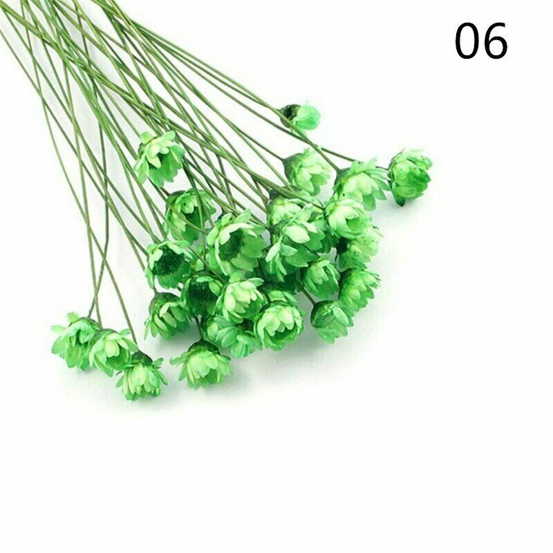 1 Pack Real Pressed Dried Flowers For Art Craft Resin Pendant Jewellery Making