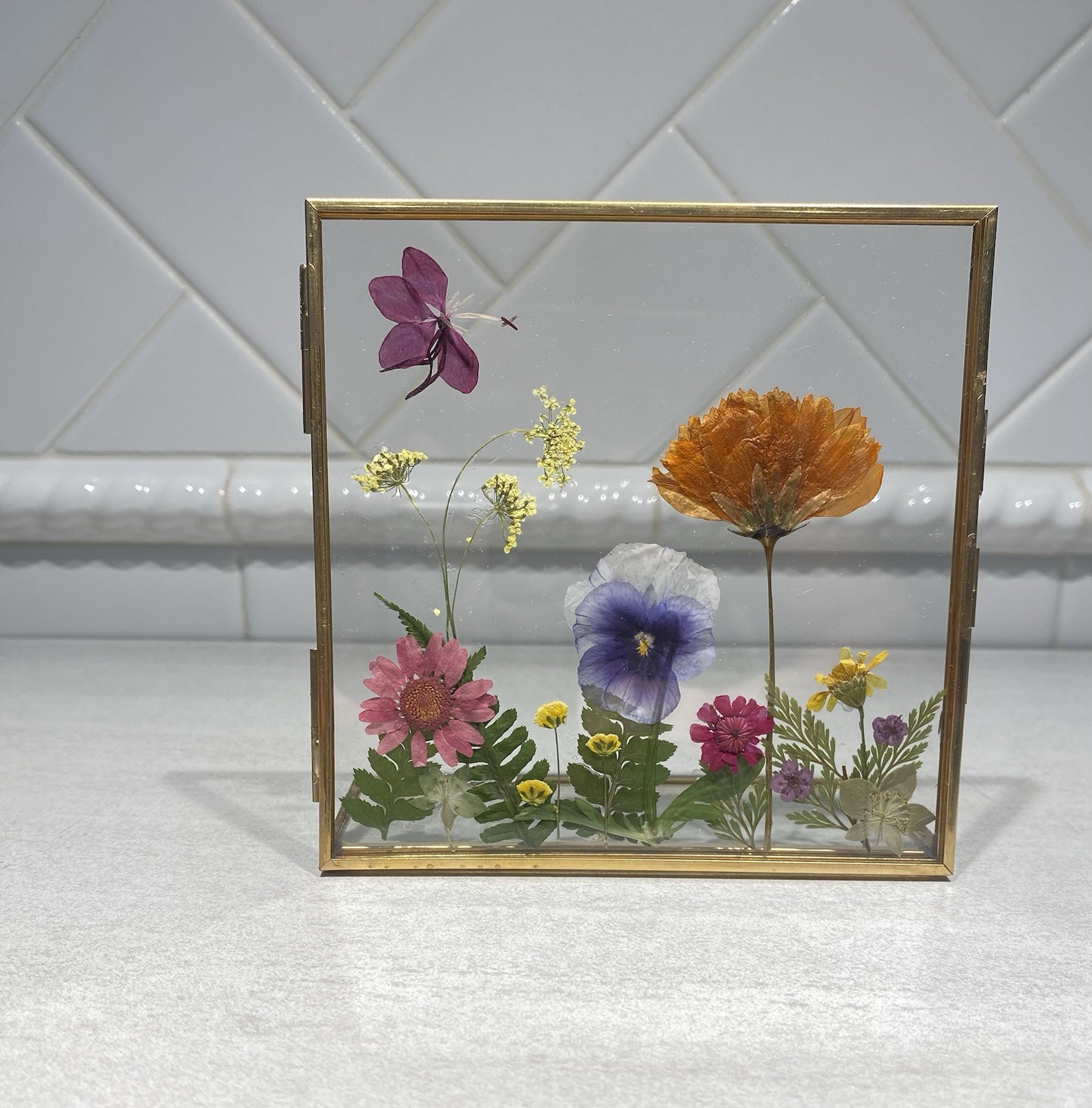 Pressed Dried Real Flowers In Double Glass Floating Brass Frame