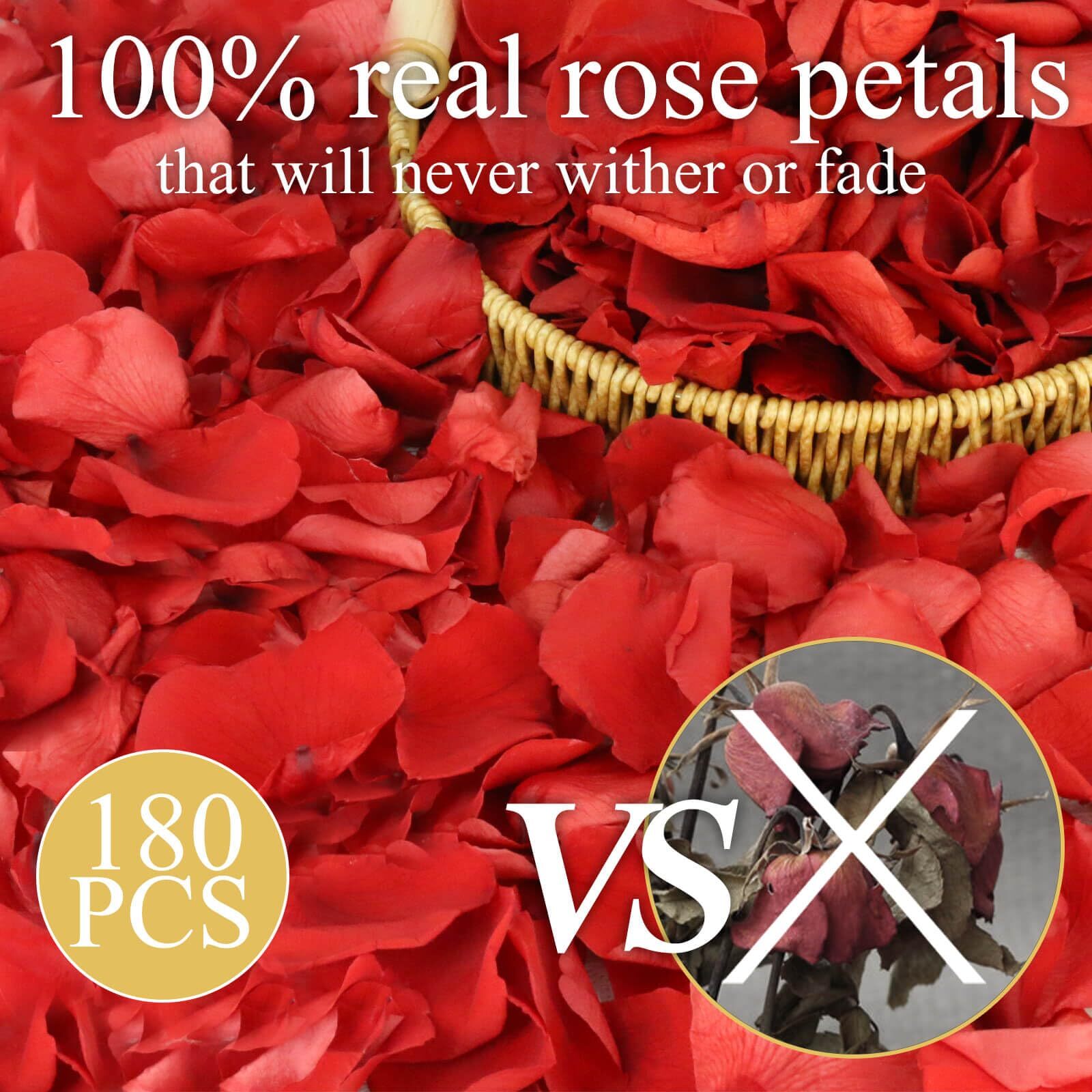 Dried Real Red Rose Petals Preserved Flower Petals for Wedding Party Decor