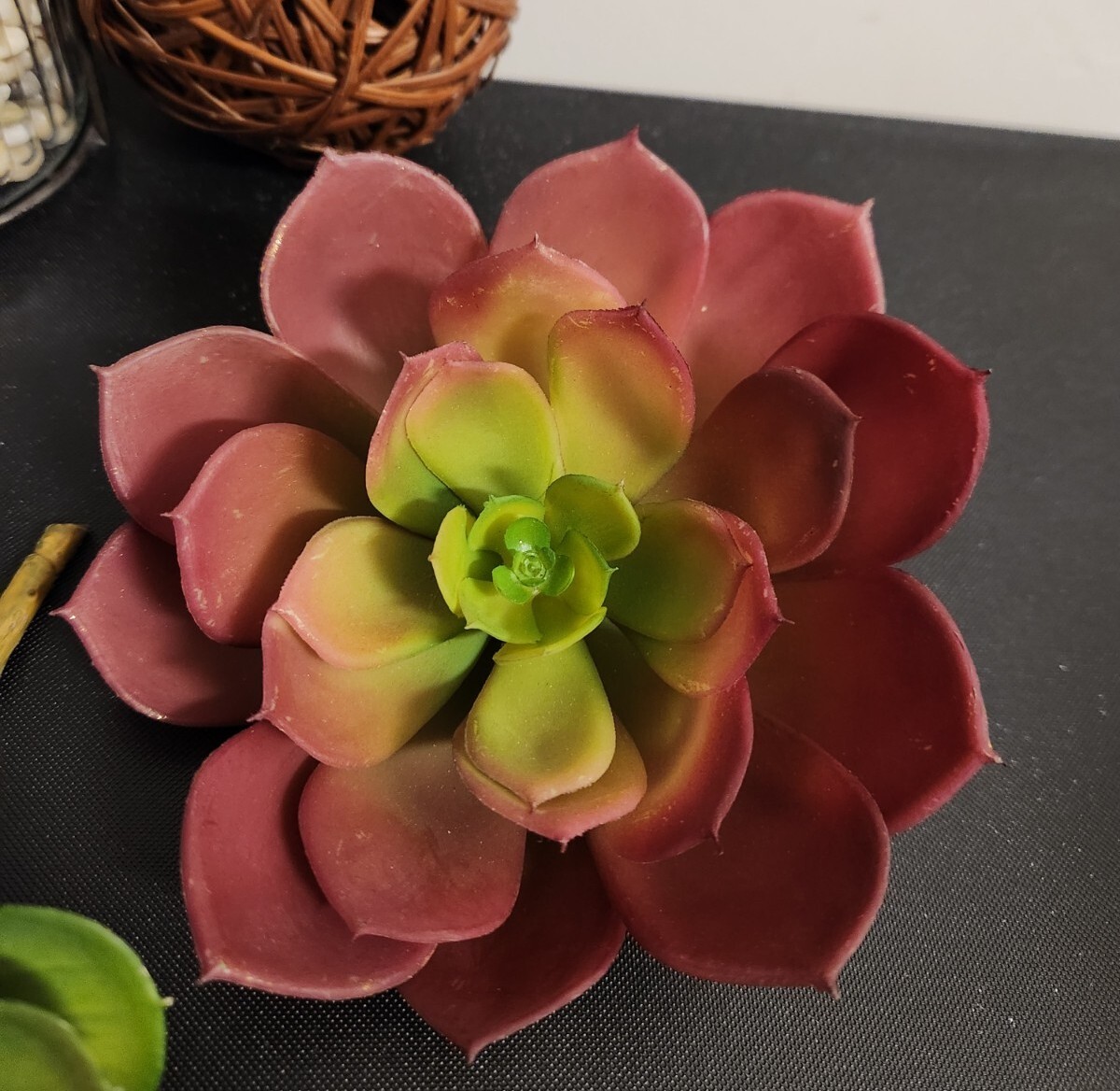Pier 1 Succulents Set Of 2 Artificial Flowers Brand New 5″ & 7″ Diameter