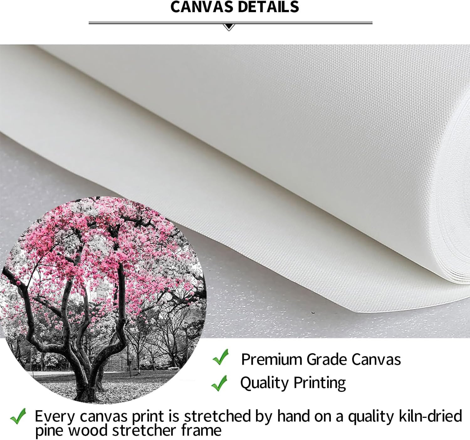 Cherry Blossom Trees Canvas Art with Black Floater Frame – NYC Park Decor