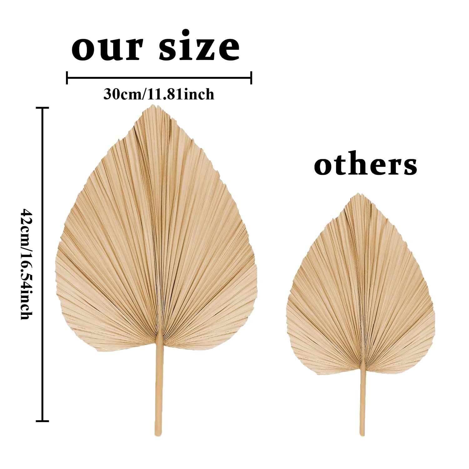 Natural Dried Palm Leaves, 17.3 Inch, 10 Pieces, Beige and Brown, for Wedding…