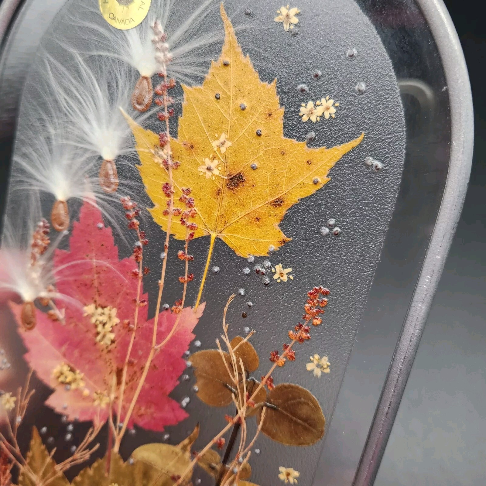 Canada Henni Original Pressed Leaves Seeds Glass Window Hanging Original Label