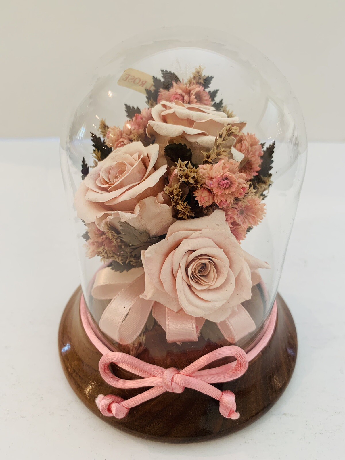 Vintage Preserved Real Pink Roses in Glass Case *4 in x 5 in*