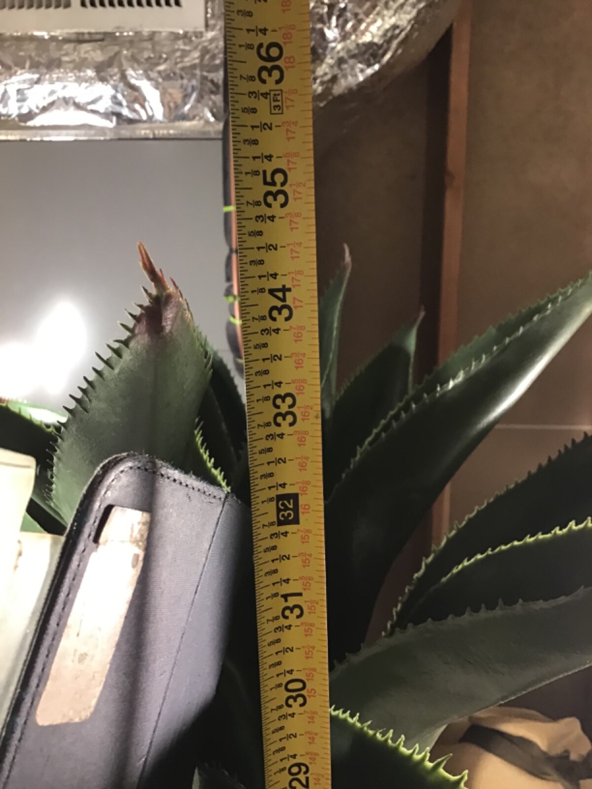 Agave with Marble Textured Planter 36” High