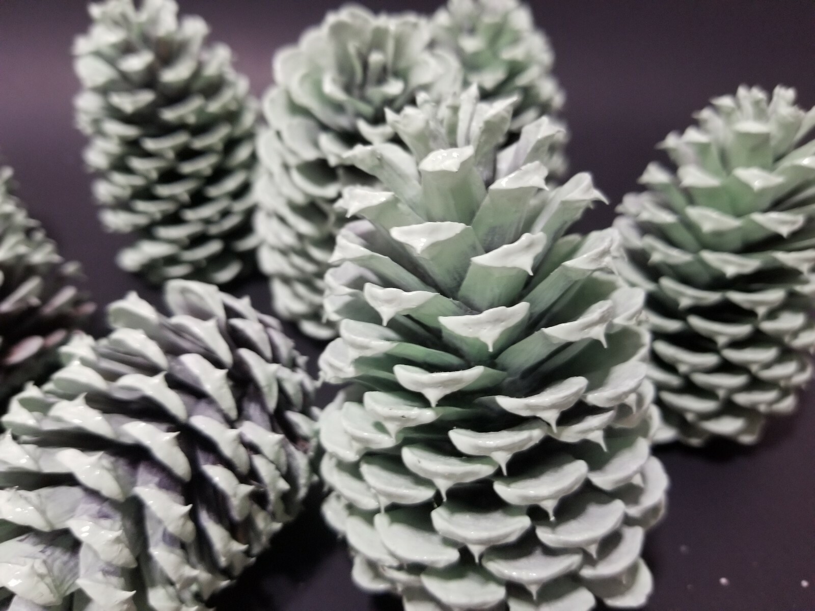 🎅15 Mint Green Pine Cones Hand Painted Natural Premium Ponderosa Cones
