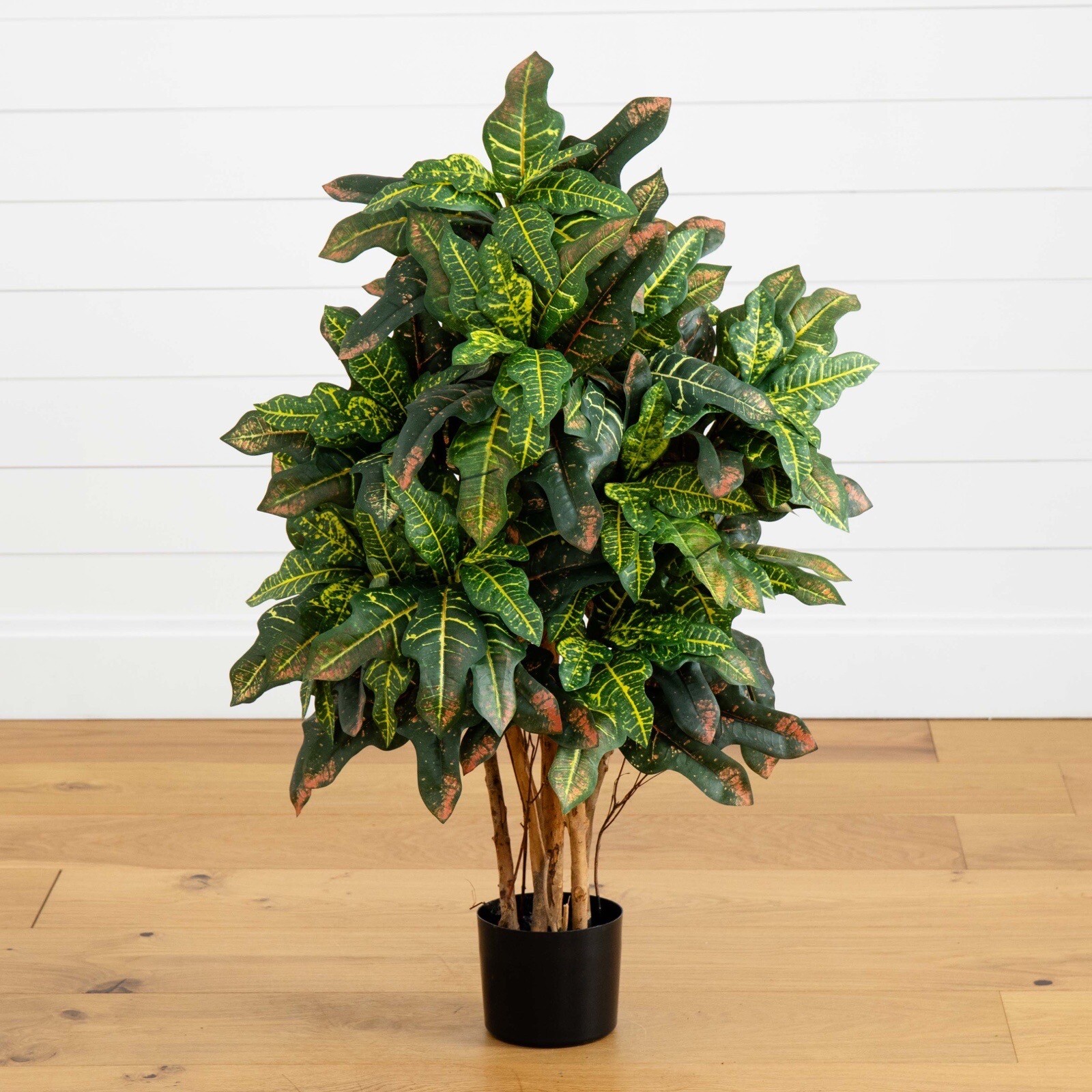 3’ Croton Artificial Tree w/Natural Trunks & 180 Lvs Home Decor. Retail $124