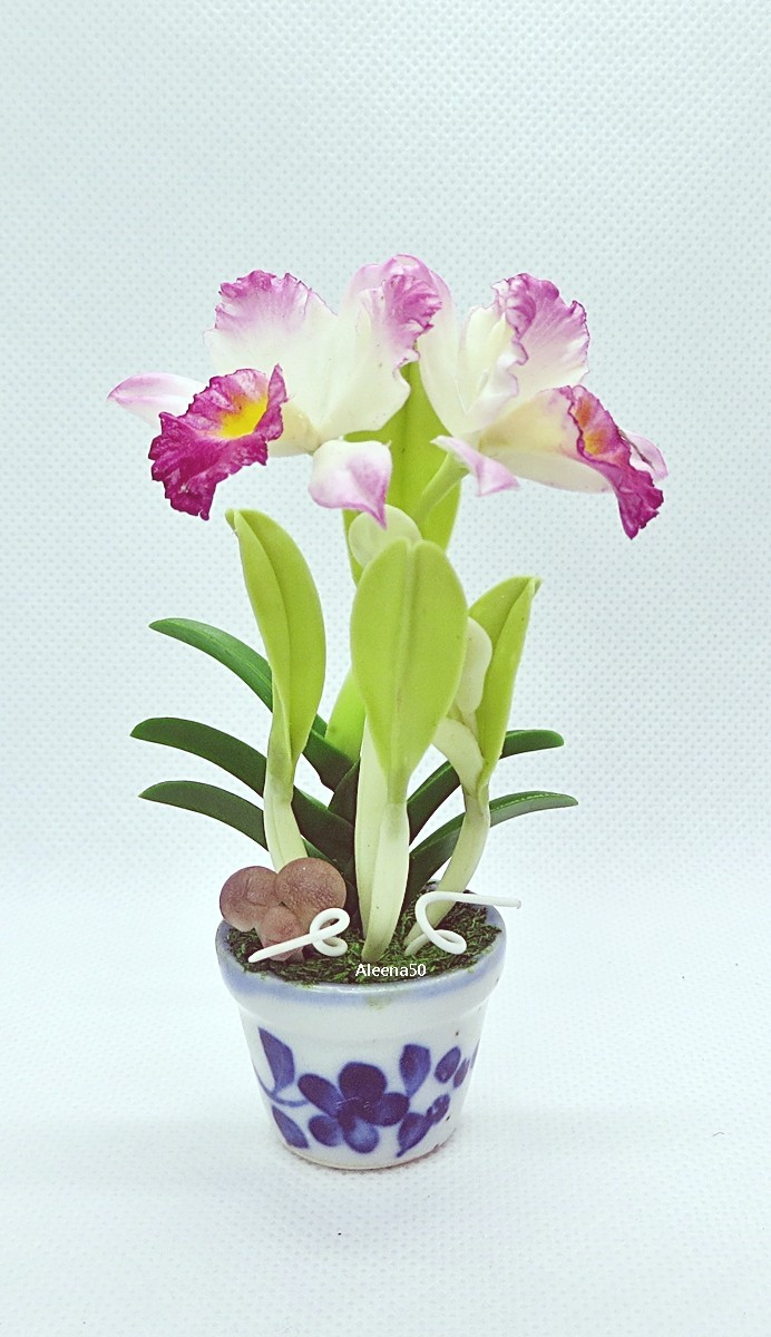 US Stock 4″H Handmade Miniature Air-Dry-Clay-Crafted Catalunya Orchid Arranged.