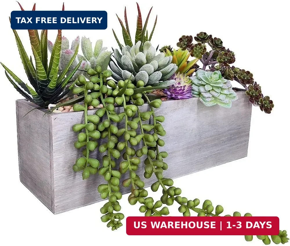 Supla Artificial Potted Succulents Plants Arrangement Fake Succulent Plants in R