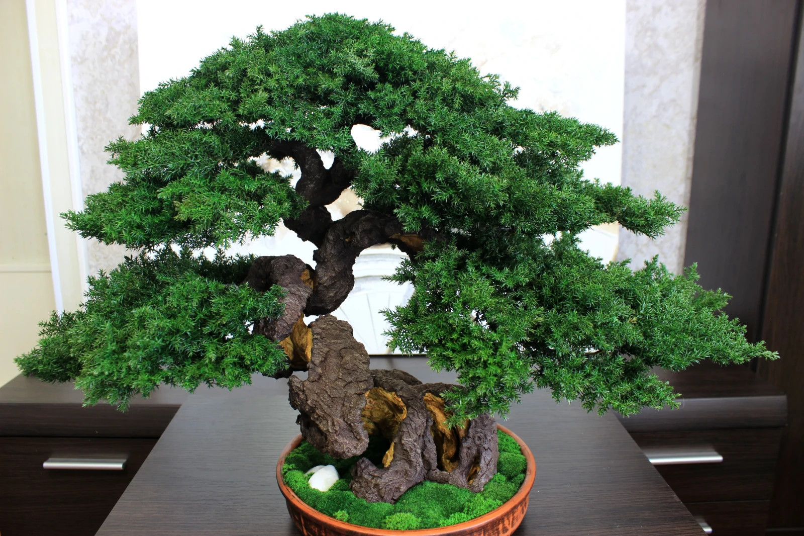 Artistic Preserved Bonsai Tree – Handmade Juniper Decor Sculpture. 49 cm / 19.3″