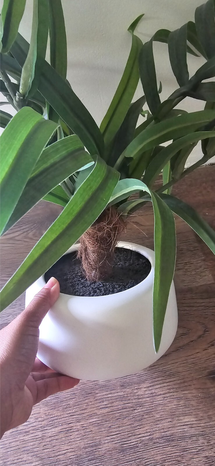 Faux Indoor Plants