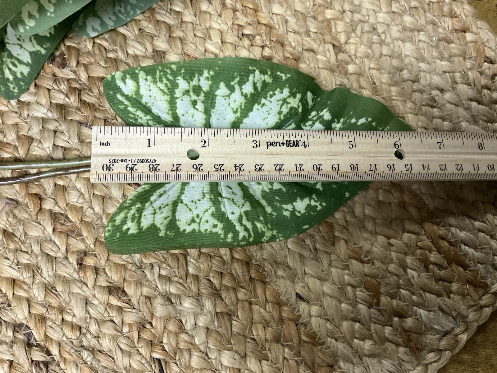 Caladium Bush 16” Faux W/14 6” Leaves 5 Pk Bundle~Green & White Molted Elephant