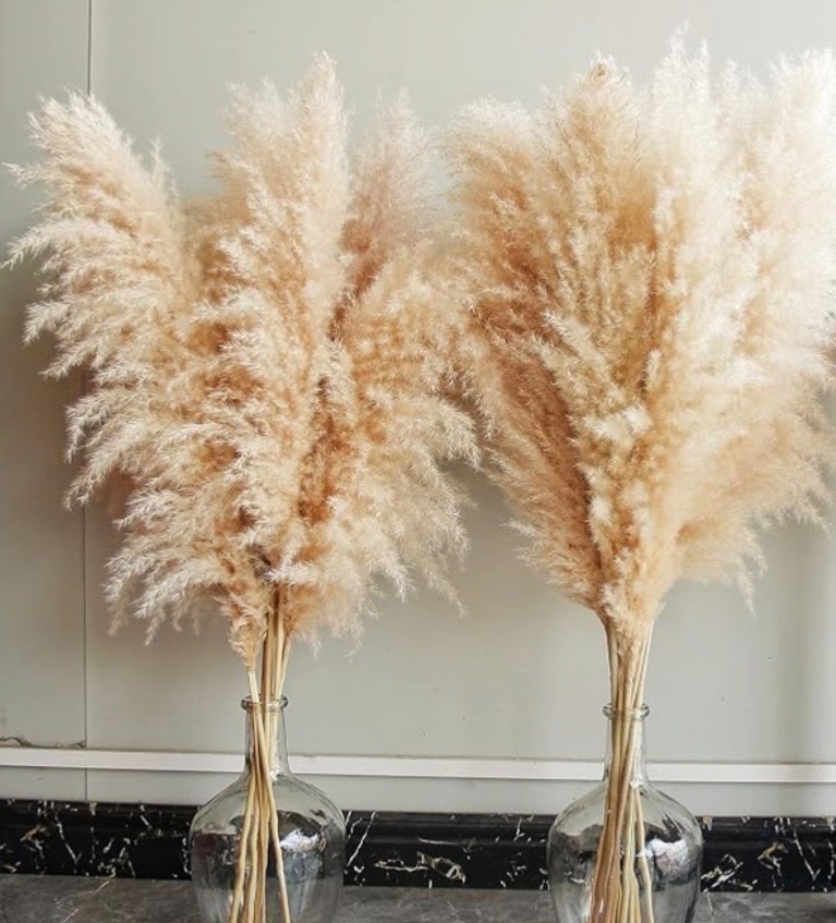 PAMPAS GRASS BEAUTIFUL BEIGE VERY FLUFFY 40 INCHES TALL 10 STEMS HOME DECOR