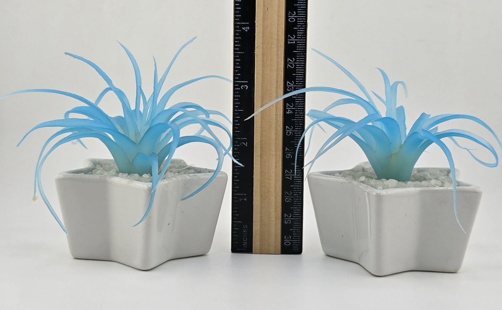 2 Faux Succulent Blue Tillandsia In Small Star Shaped Ceramic Pots 1 Damaged