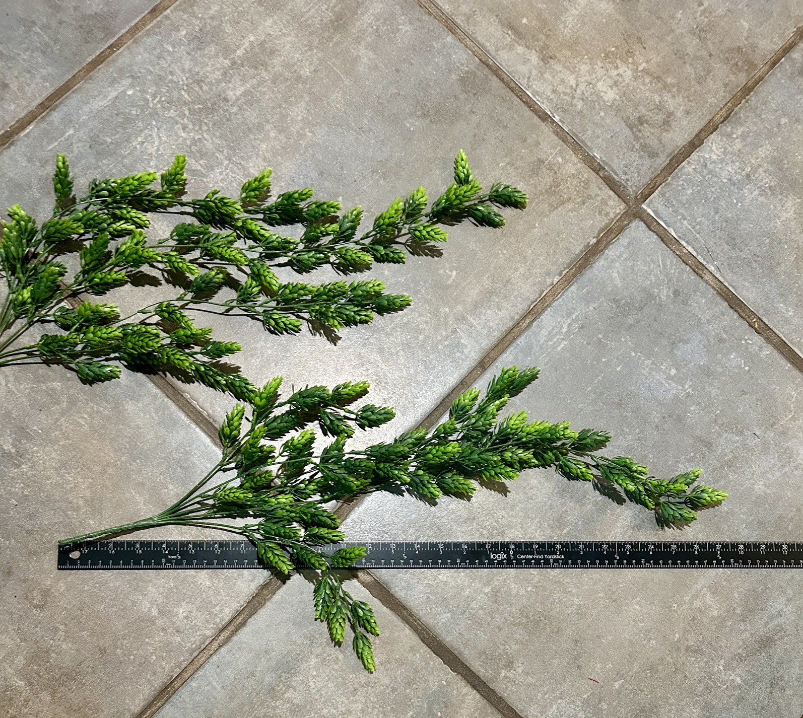 New Primitive Farmhouse BABY TEARS TRAILING STEM Bush Pick Branch Greenery