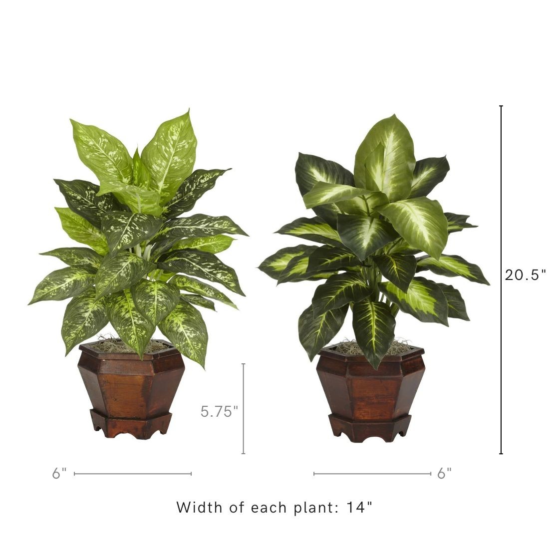 Golden Dieffenbachia w/Wood Vase Silk Plant – Assorted