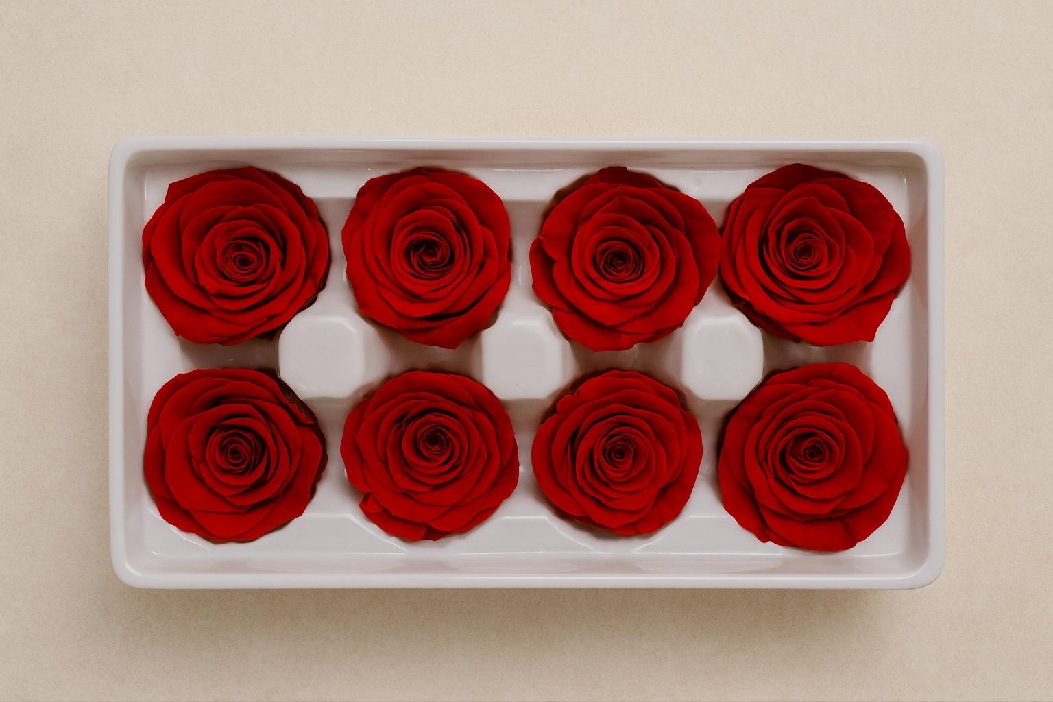 8 Preserved Red Roses Real Eternal Flowers DIY Crafts Wedding Gift Decor