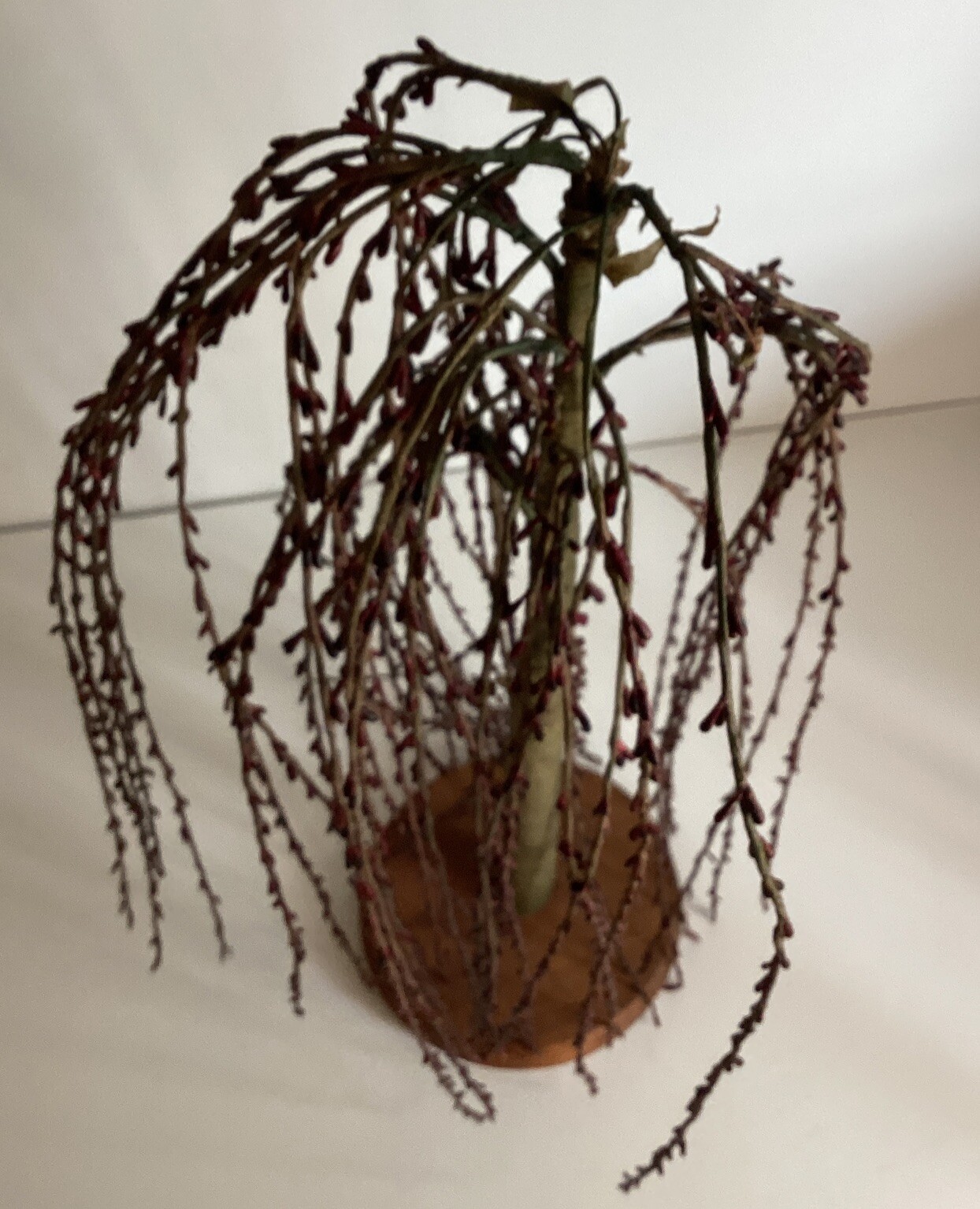 Primitive Colonial Country Cranberry Pip Berry 24″ Willow Tree