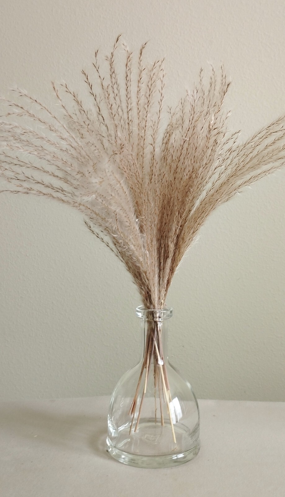 Tall Boho Natural Dried Pampas Grass Bouquet Total 75 Pcs. Decor Wedding Party