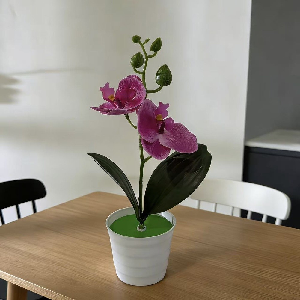 Fake Orchid Plant Phalaenopsis Type for Living Room Bedroom Study Decor Plastic