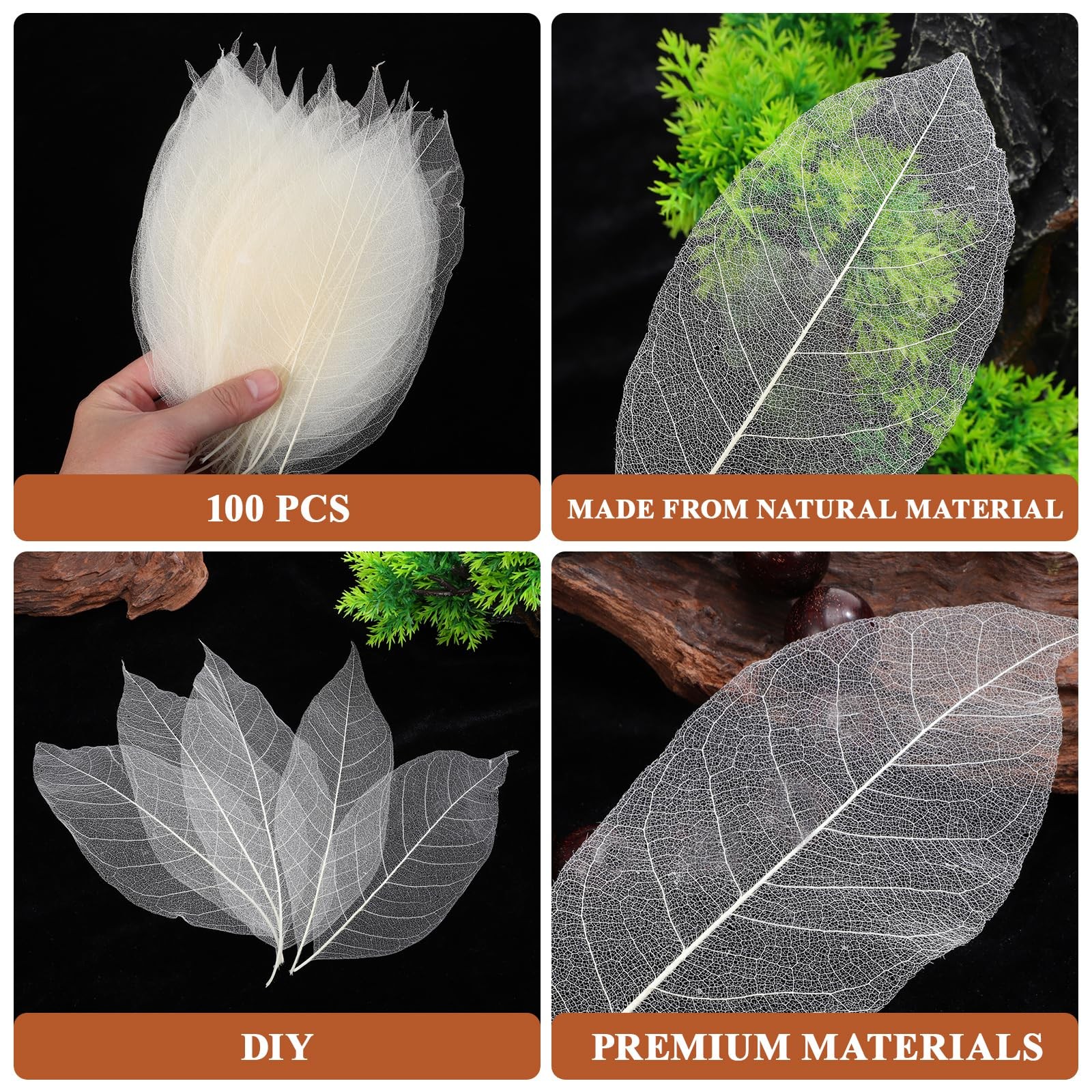 100 PCS Natural Dried Magnolia Leaf Vein Specimens DIY Craft Scrapbook
