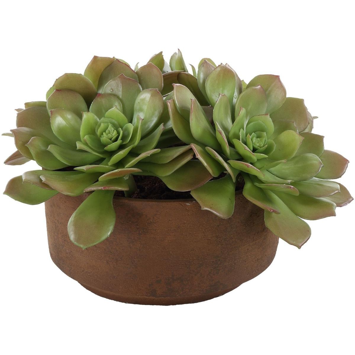 Uttermost 60267 Sable Succulent Terracotta and Green Accent In Pot