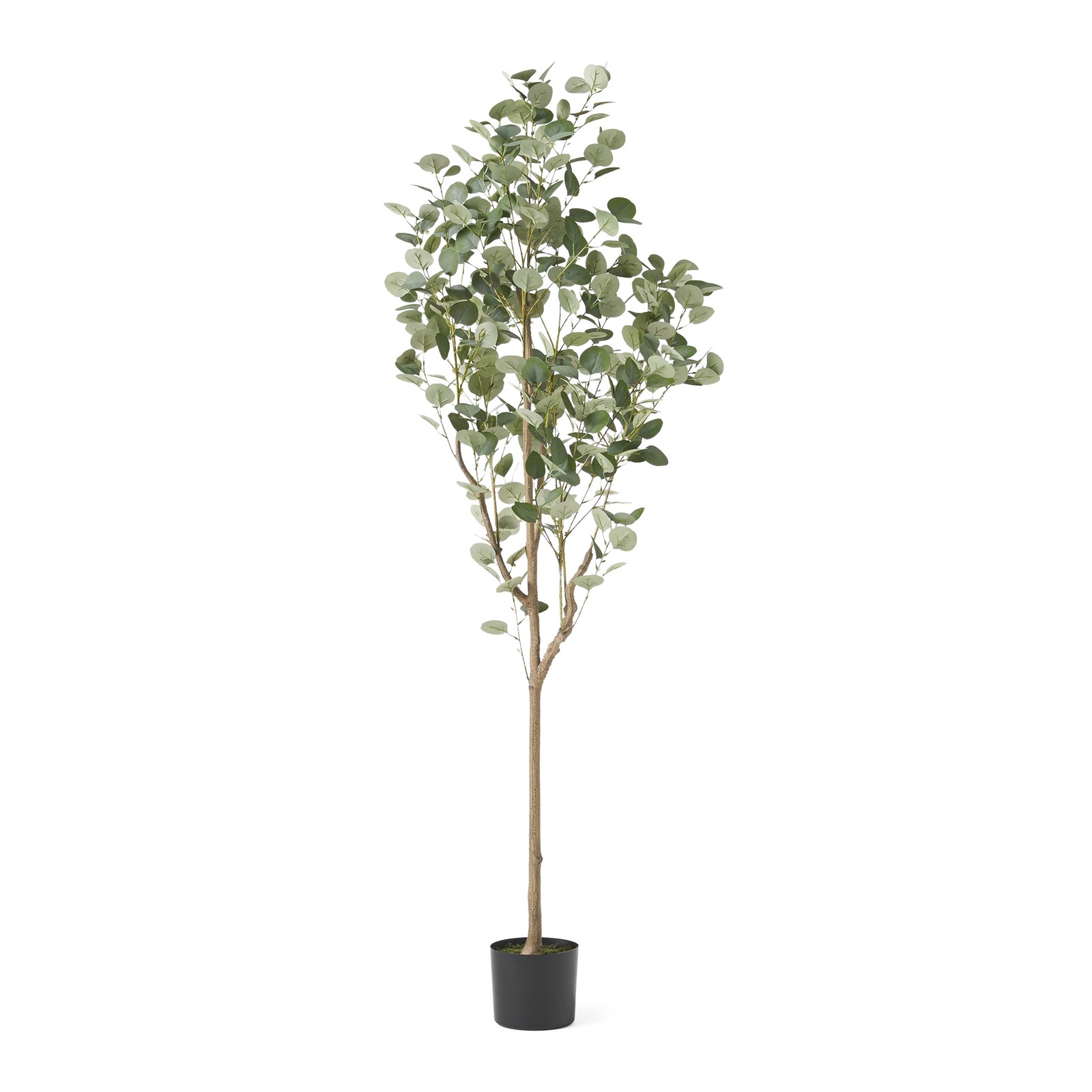 59″ Artificial Eucalyptus Tree in Pot, Realistic Faux Silver Dollar Plant