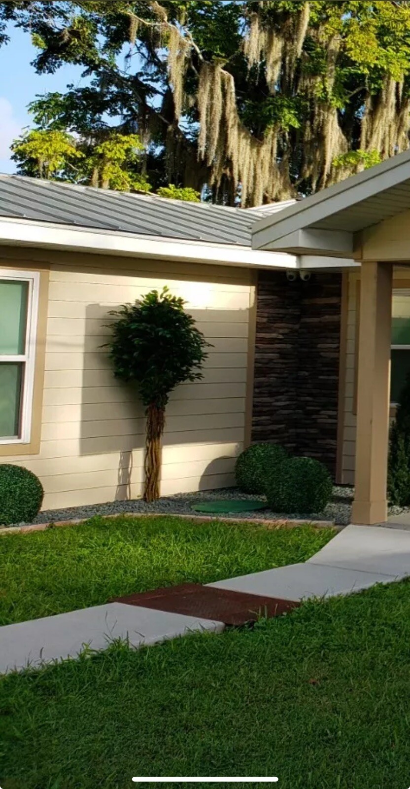 7.5’ UV Topiary Artificial Ficus Tree Home Decor (Indoor Outdoor). Retail $272