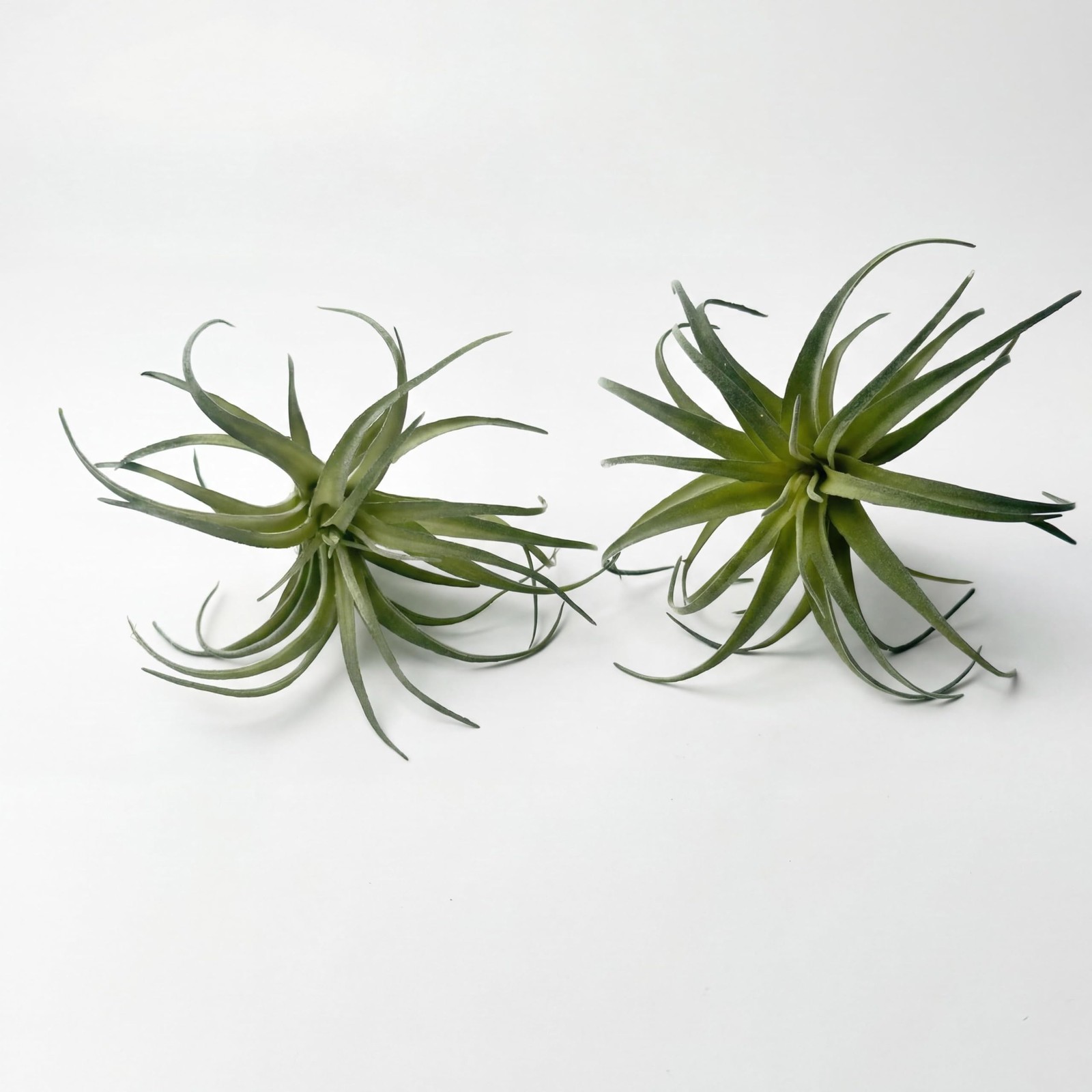 Artificial Plants & Greenery 2Pcs Faux Decor Set Ultra Realistic Artificial A…