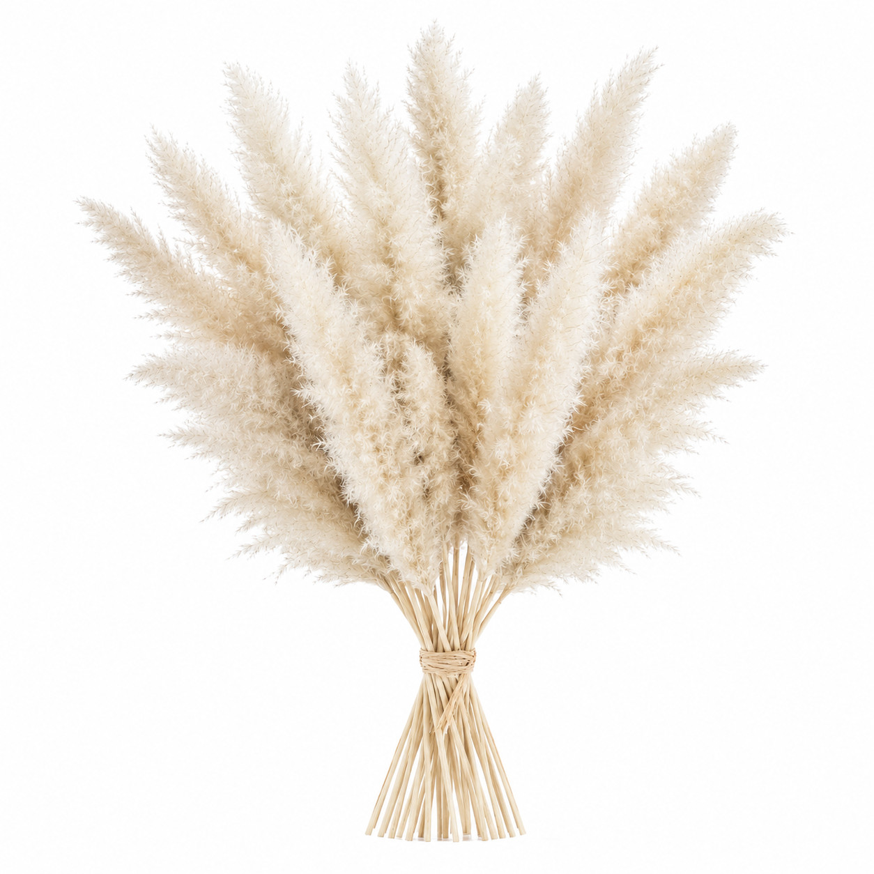15 Stems Natural White Pampas Grass 21″ Dried Floral Bouquet Boho Home Decor