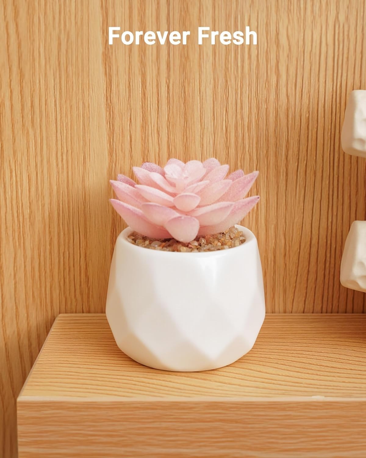 Low-Maintenance Rose Pink Succulents in Chic Pot – Perfect for Busy Lifestyles