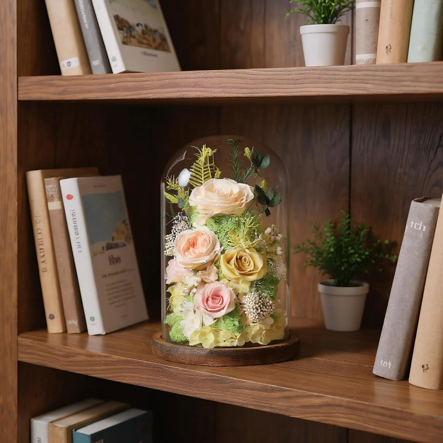 lovenfold Flowers for Delivery Preserved Flowers Rose in Glass Dome,Champagne Ro