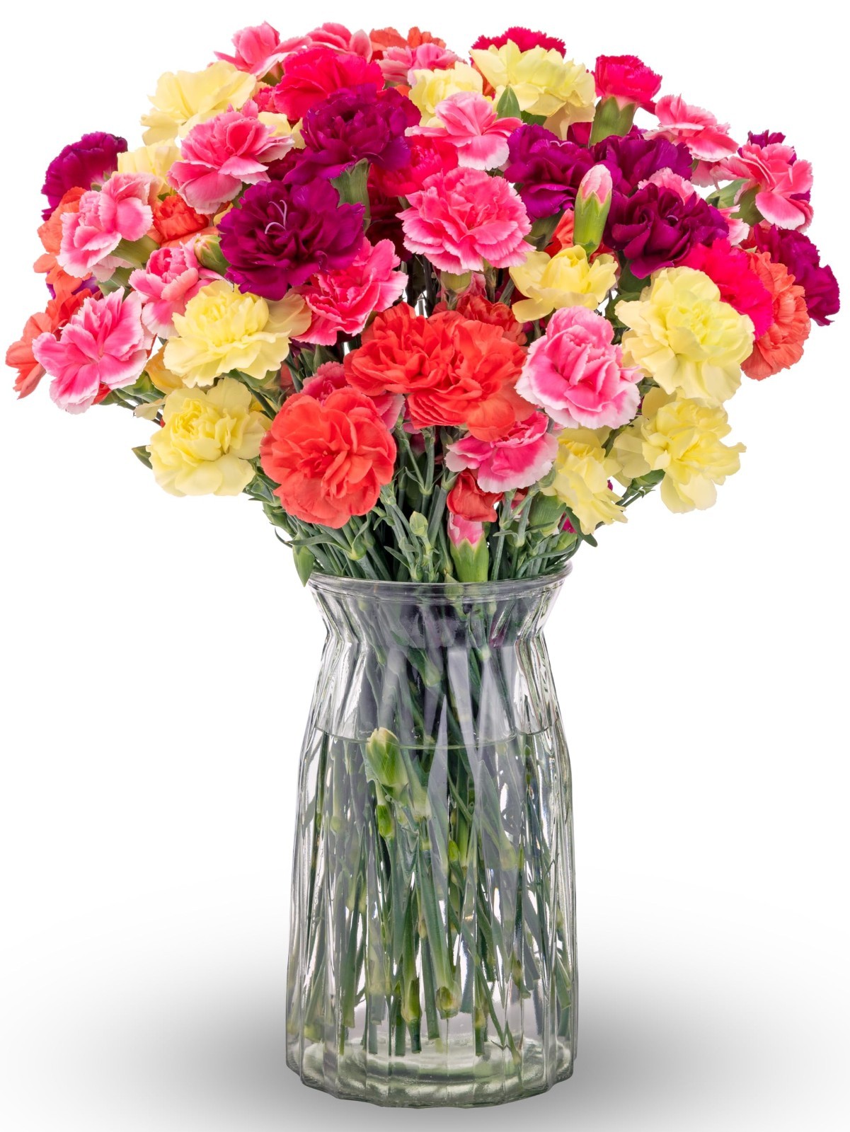 Mini Carnation Bouquet – Fresh Pink Yellow Purple Flowers – Floral Arrangement f
