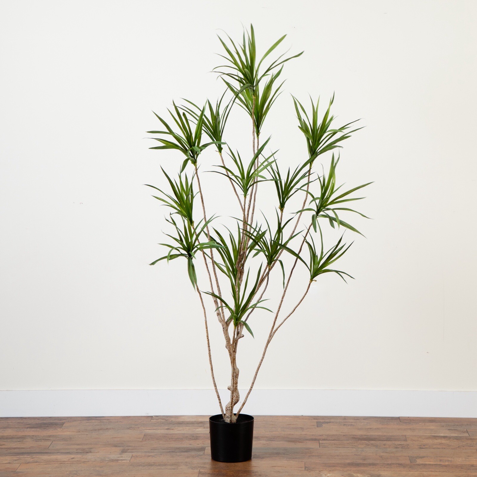 6’ Artificial Dracaena Tree with Real Touch Leaves Home Decor. Retail $289
