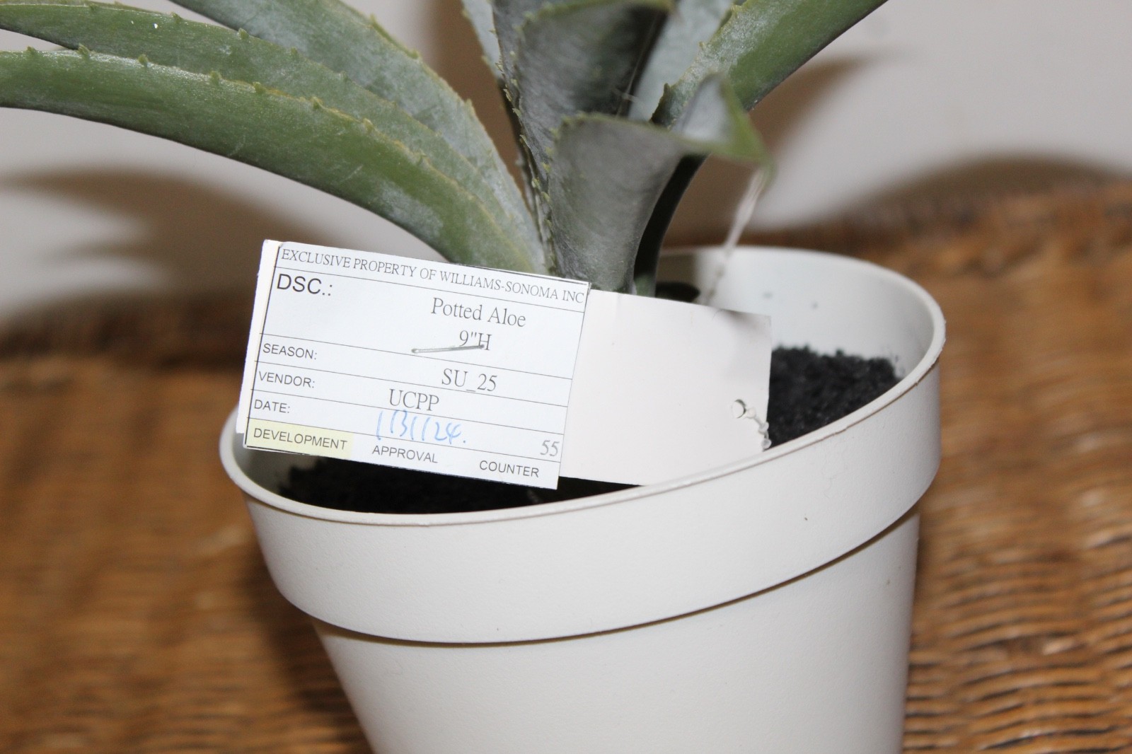 Williams Sonoma Artificial Potted Aloe.