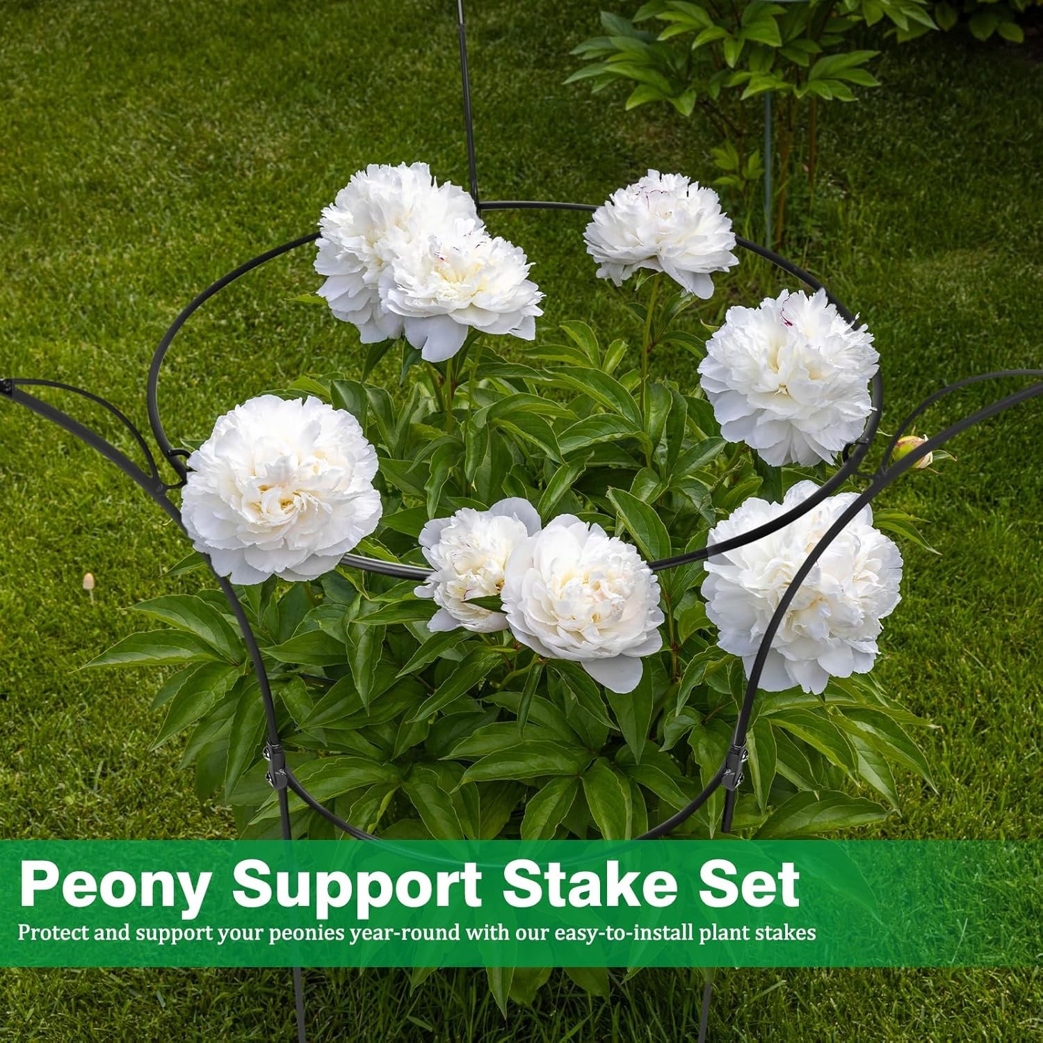 4 Pack Peony Cages & Supports Cages 13″ D x 22.8″ H Heavy Duty Metal Support