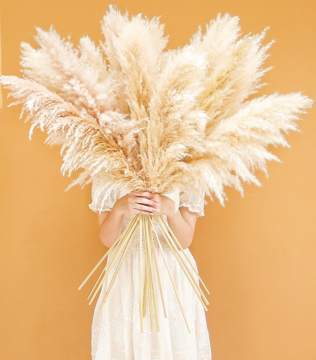 Natural Beige Pampas Grass – Farmhouse Boho Decor