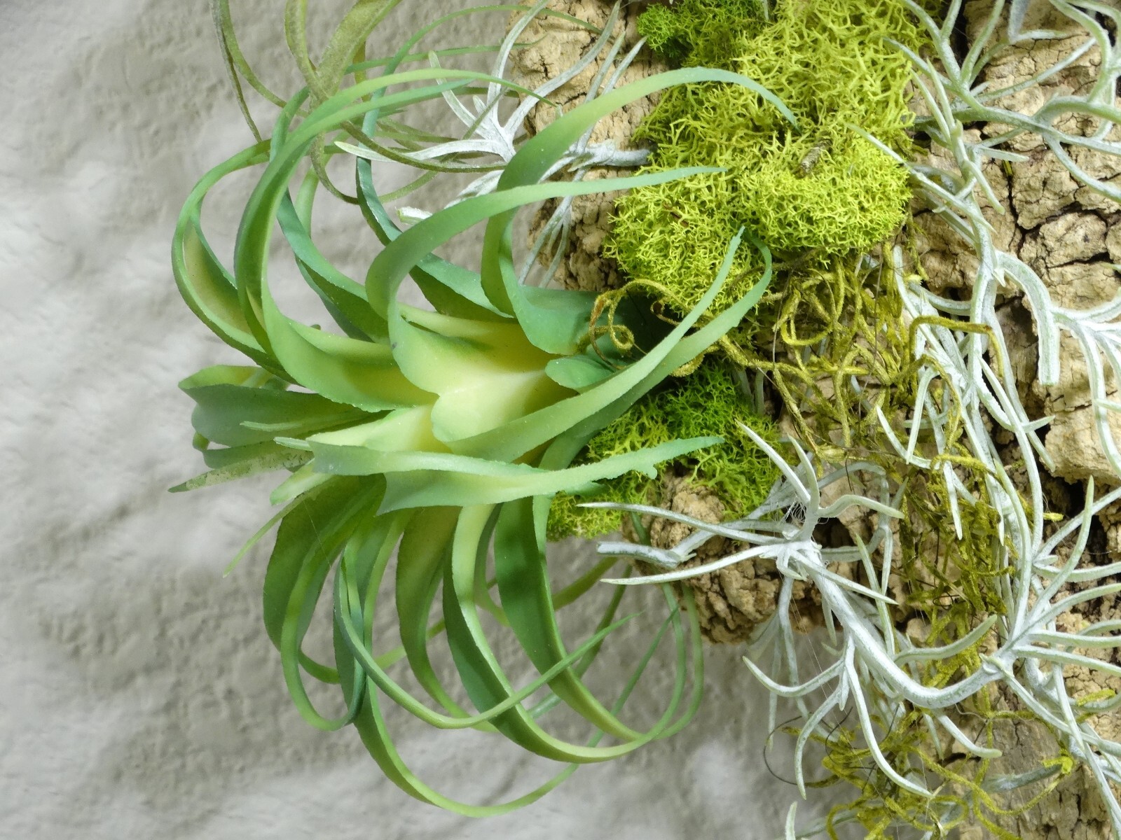 Home Decor Bathroom Wall Art Real Bark Artificial Air Plant Handmade USA
