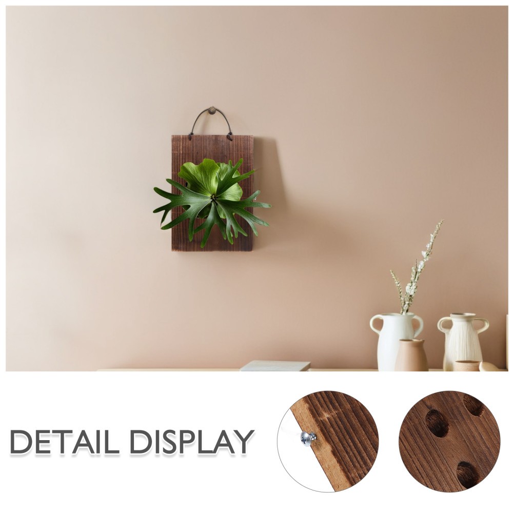 Fern Mounting Board: Wood Vertical Planting Board, Hanging Plant