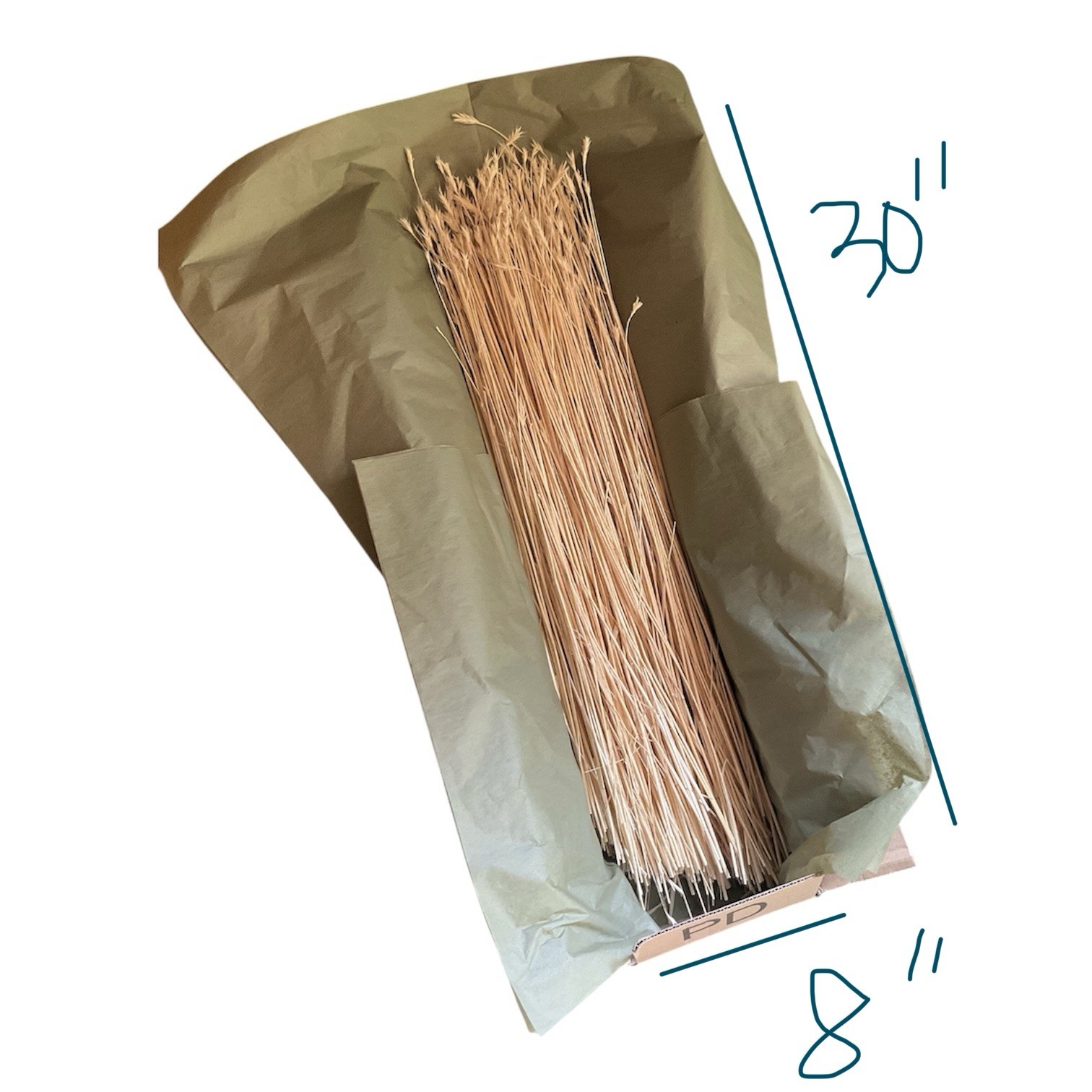 Dried Foxtail Grass Bundle: Rustic Floral Arrangement Supply in Natural Color
