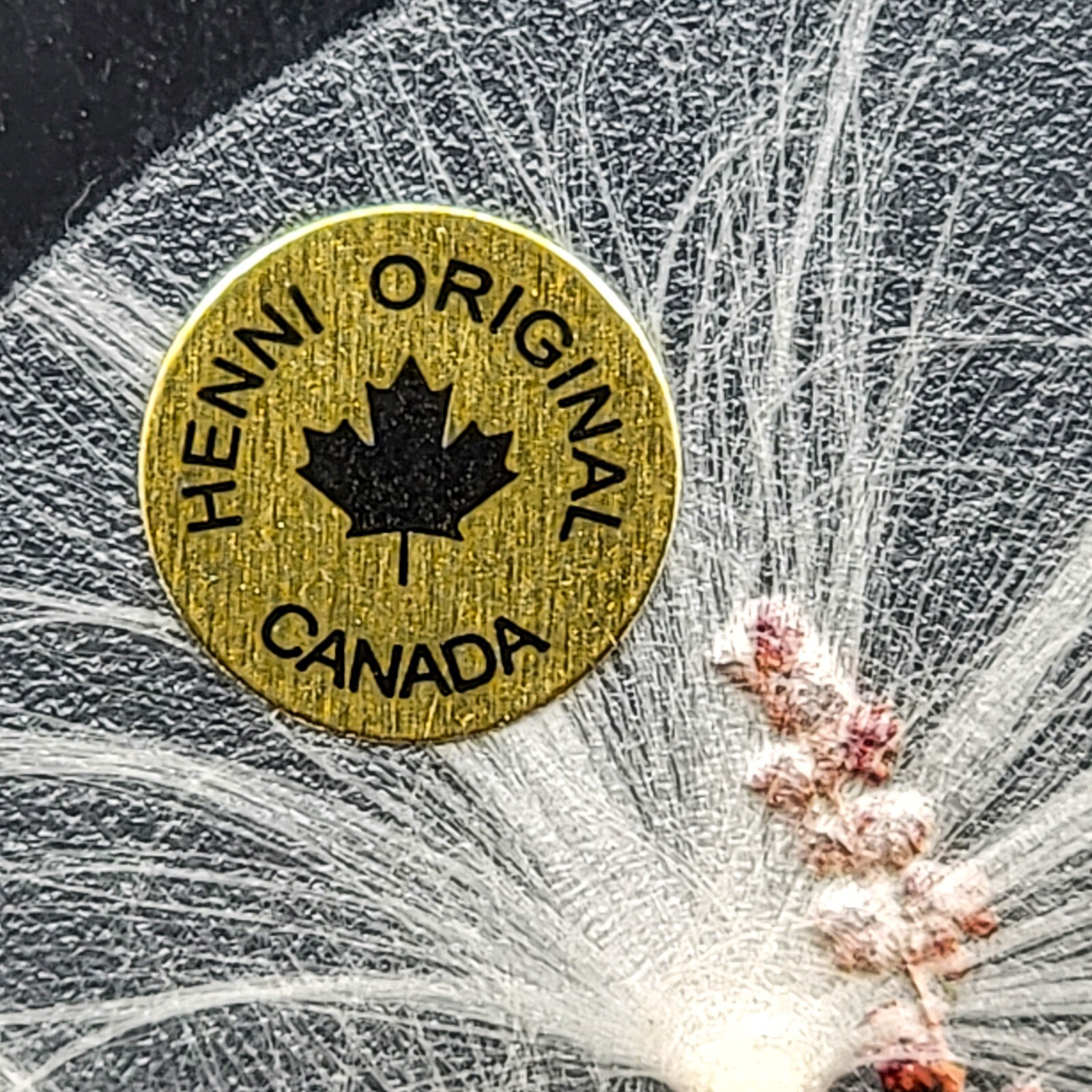 Canada Henni Original Pressed Leaves Seeds Glass Window Hanging Original Label