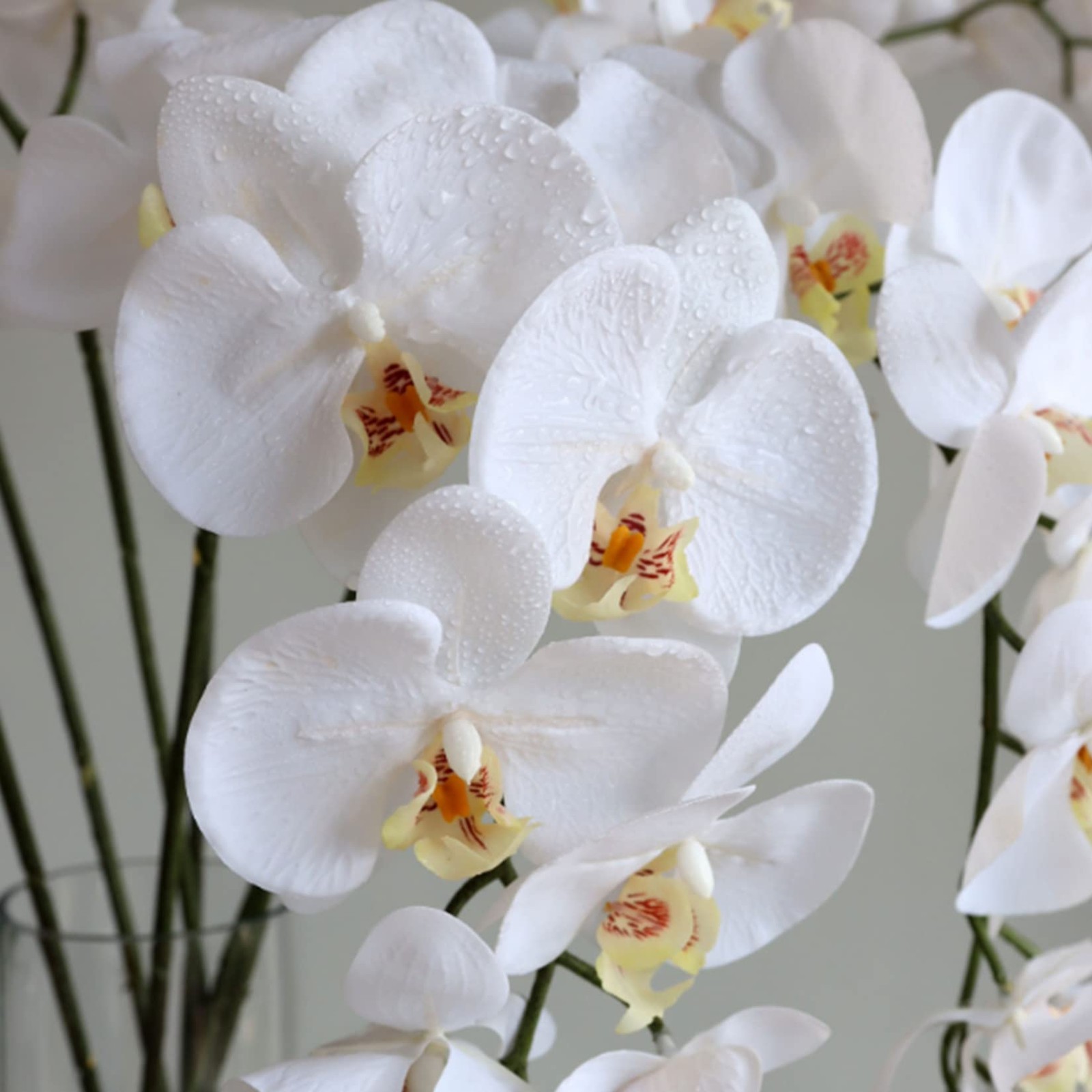 5 Pcs Artificial Orchid Flowers and 2 Bundles Leaves,Artificial Phalaenopsis …